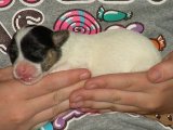 5 days old